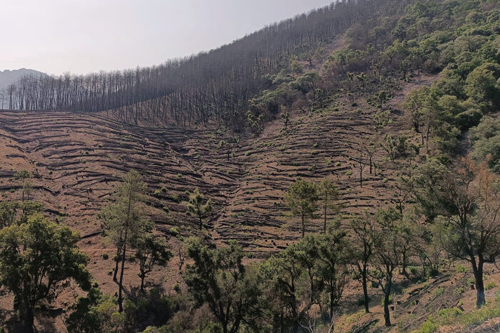 Obras y medio ambiente DGP, bancales