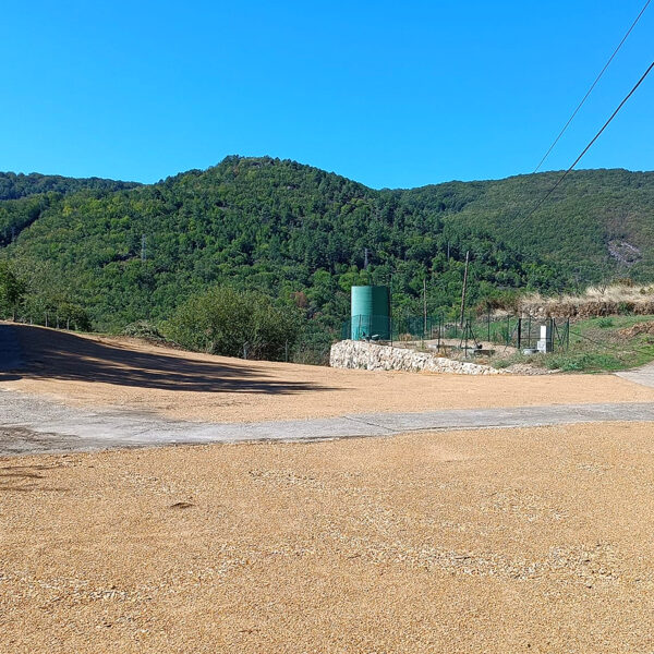 Obras y medio ambiente DGP, movimiento de tierras Obras y medio ambiente DGP, movimiento de tierras