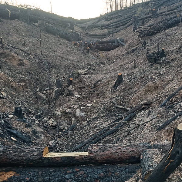 Obras y medio ambiente DGP, movimiento de tierras Obras y medio ambiente DGP, movimiento de tierras