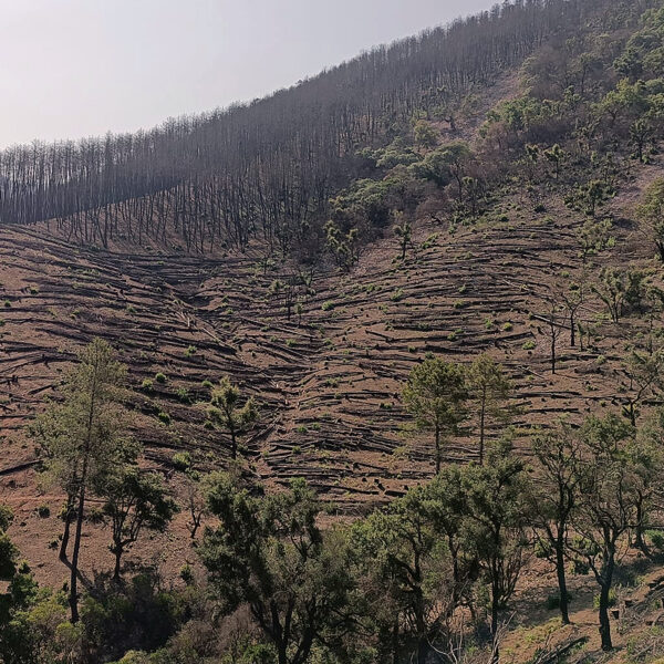 Obras y medio ambiente DGP, movimiento de tierras Obras y medio ambiente DGP, movimiento de tierras