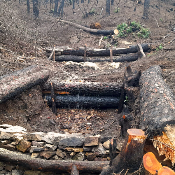 Obras y medio ambiente DGP, movimiento de tierras Obras y medio ambiente DGP, movimiento de tierras