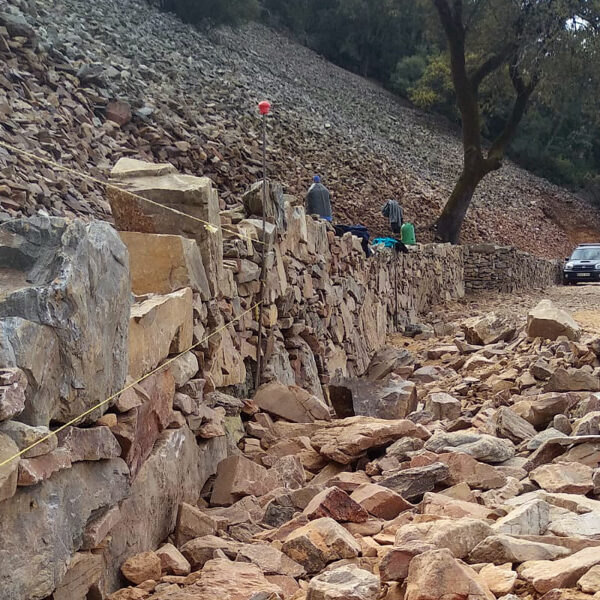 Obras y medio ambiente DGP, movimiento de tierras