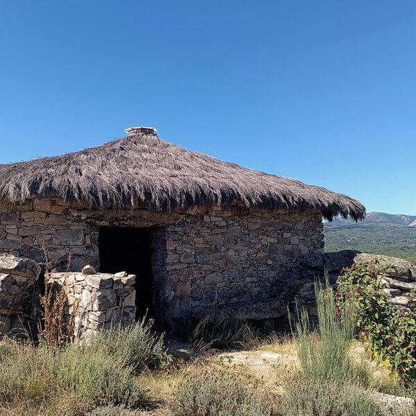 Obras y medio ambiente DGP, rehabilitación y restauración