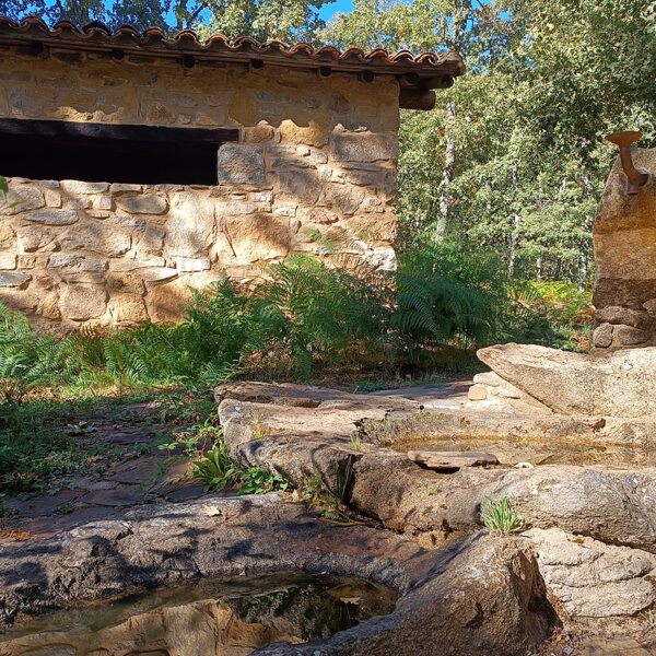 Obras y medio ambiente DGP, rehabilitación y restauración