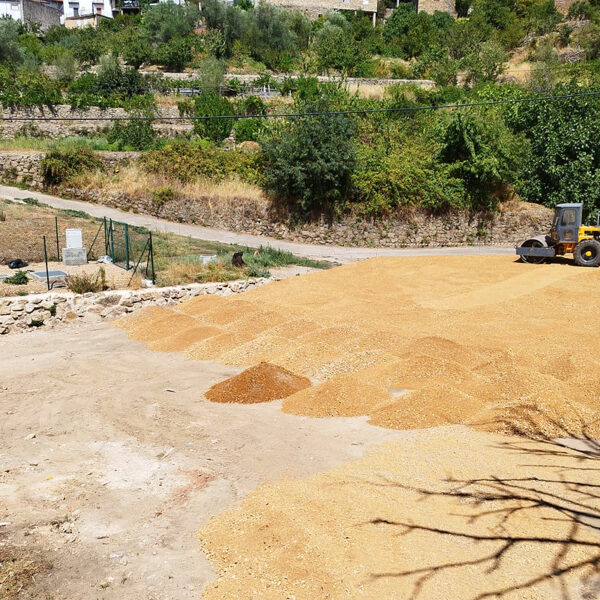 Obras y medio ambiente DGP, movimiento de tierras