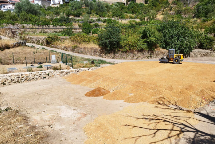 Obras y medio ambiente DGP, movimiento de tierras